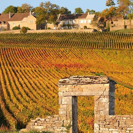 Hotel Le Nid Bourguignon Chalon sur Saone Esterno foto
