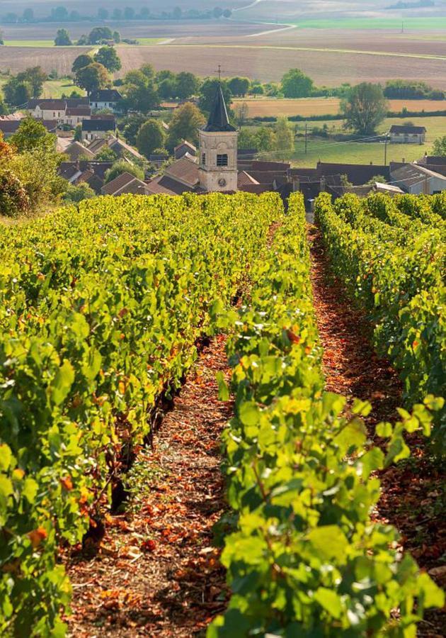 Hotel Le Nid Bourguignon Chalon sur Saone Esterno foto