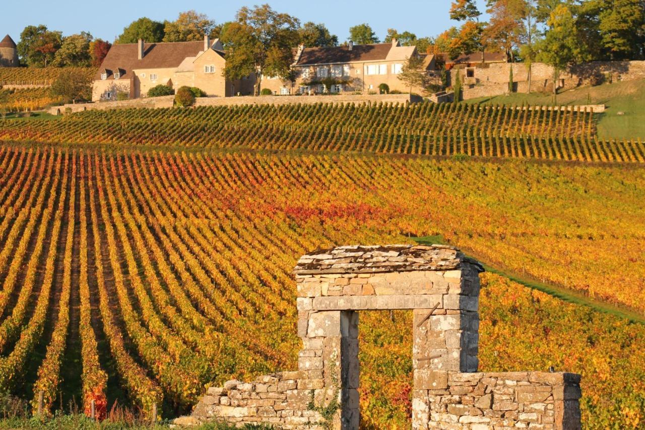 Hotel Le Nid Bourguignon Chalon sur Saone Esterno foto